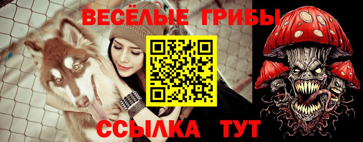 Псилоцибиновые грибы ЛСД  Вход с VPN  Салехард  где можно купить наркотик  Галлюциногенные грибы мухоморы 